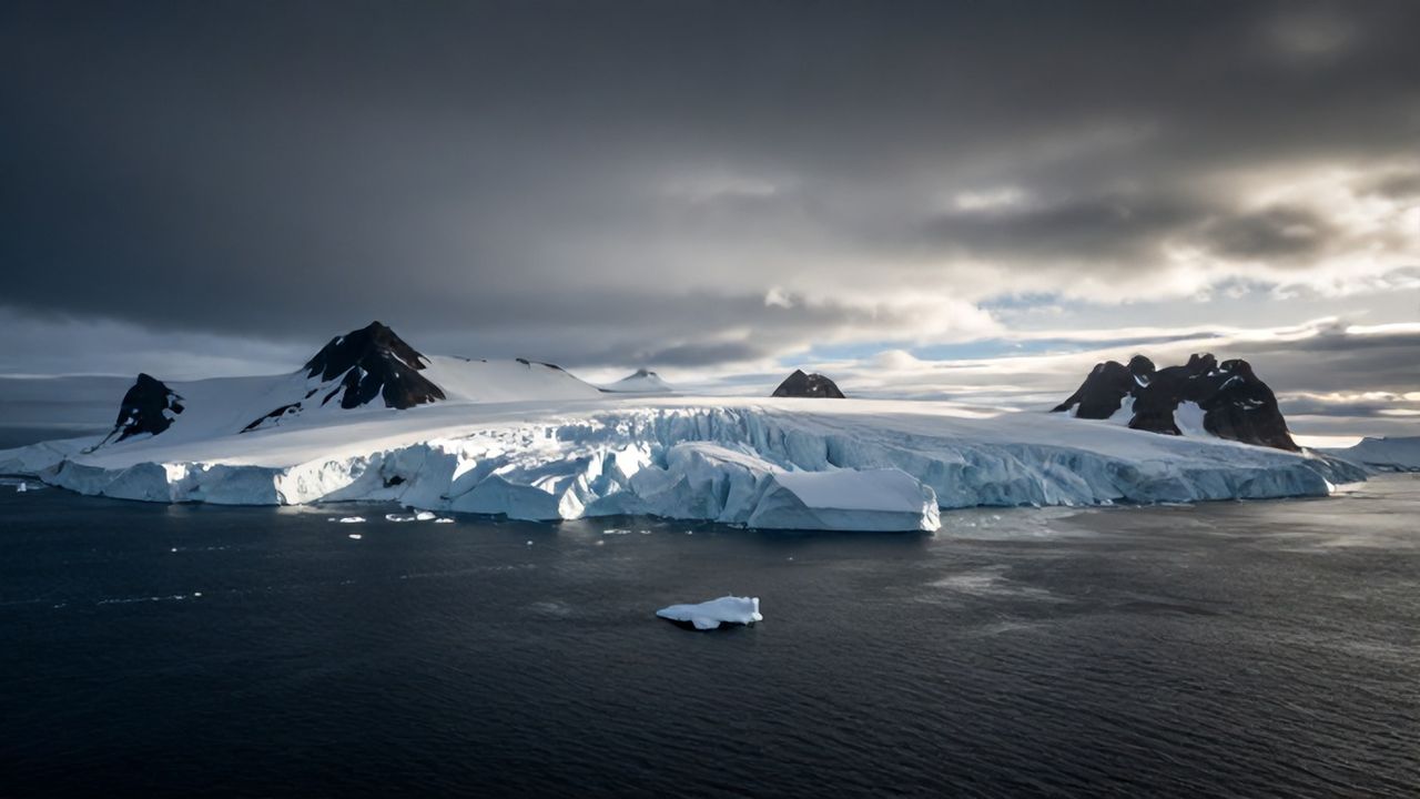 Avusturya'dan ABD'ye Grönland Çıkışı: 'Anlamıyoruz!'