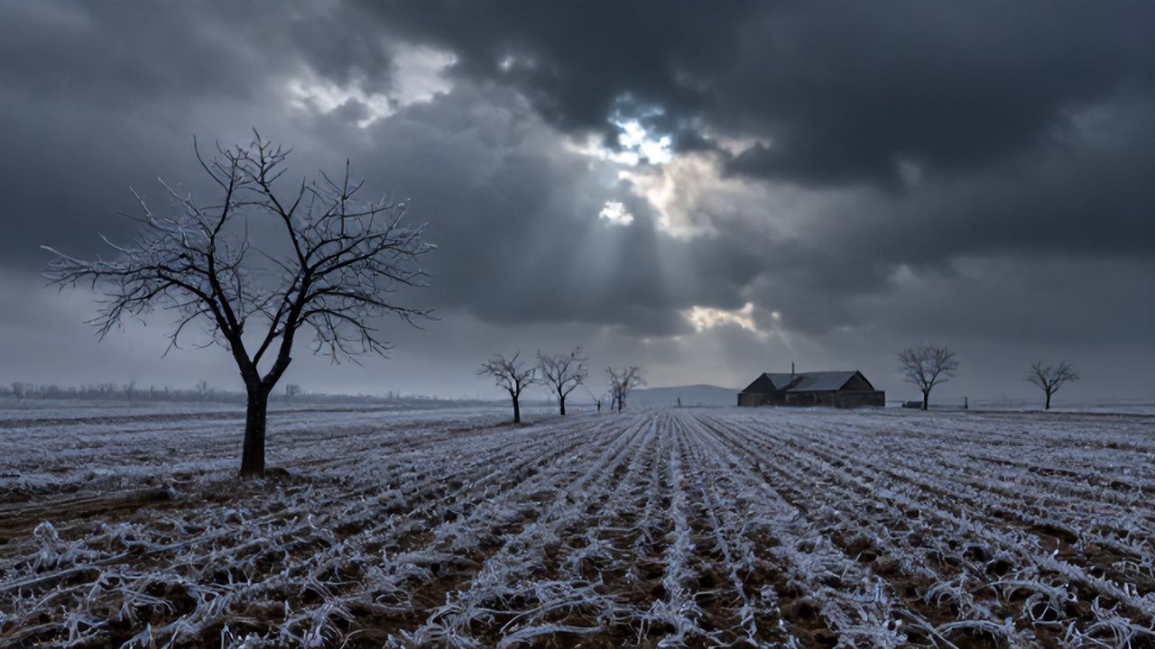 Türkiye'yi Bekleyen Sert Zirai Don Uyarısı