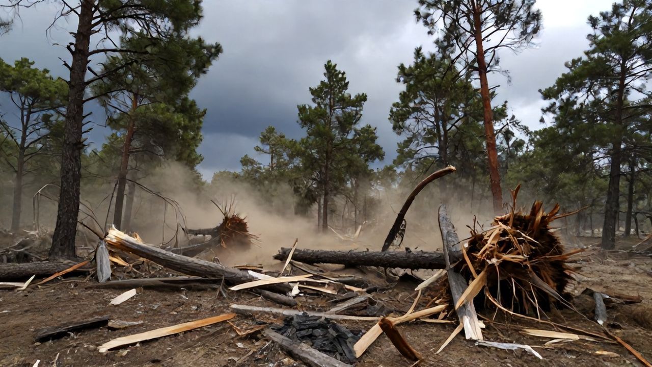 Antalya Aksu'daki Hortum Felaketi: Ormanlık Alanlarda Büyük Tahribat