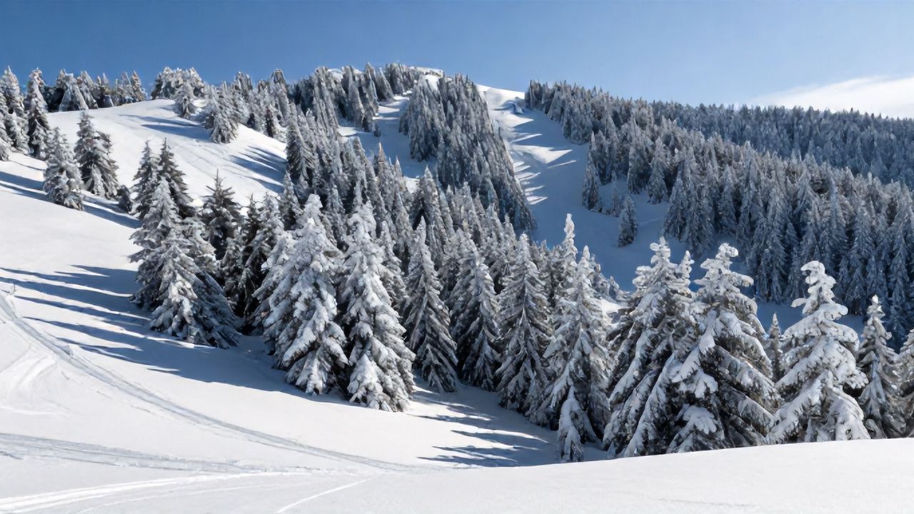 Sarıkamış Zirvede: Türkiye'nin En Yüksek Kar Kalınlığı Ölçüldü
